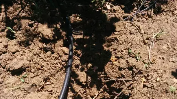 נפילת רקטה בשדות נגב. יולי 2014 נפילת רקטה בשדות נגב. יולי 2014