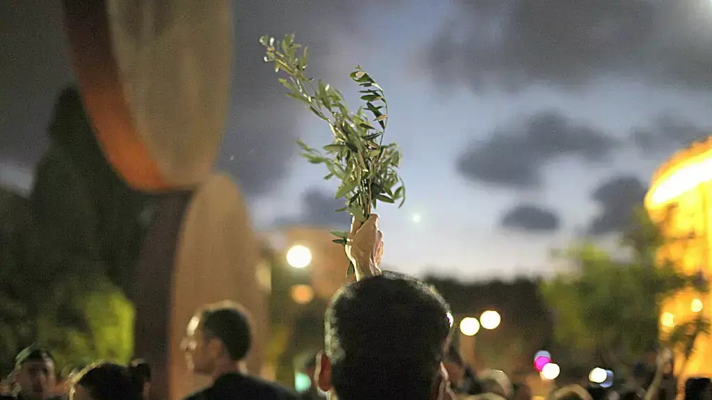 מאות פעילי שמאל מפגינים בתל אביב בצל מבצע "צוק איתן" מאות פעילי שמאל מפגינים בתל אביב בצל מבצע "צוק איתן"