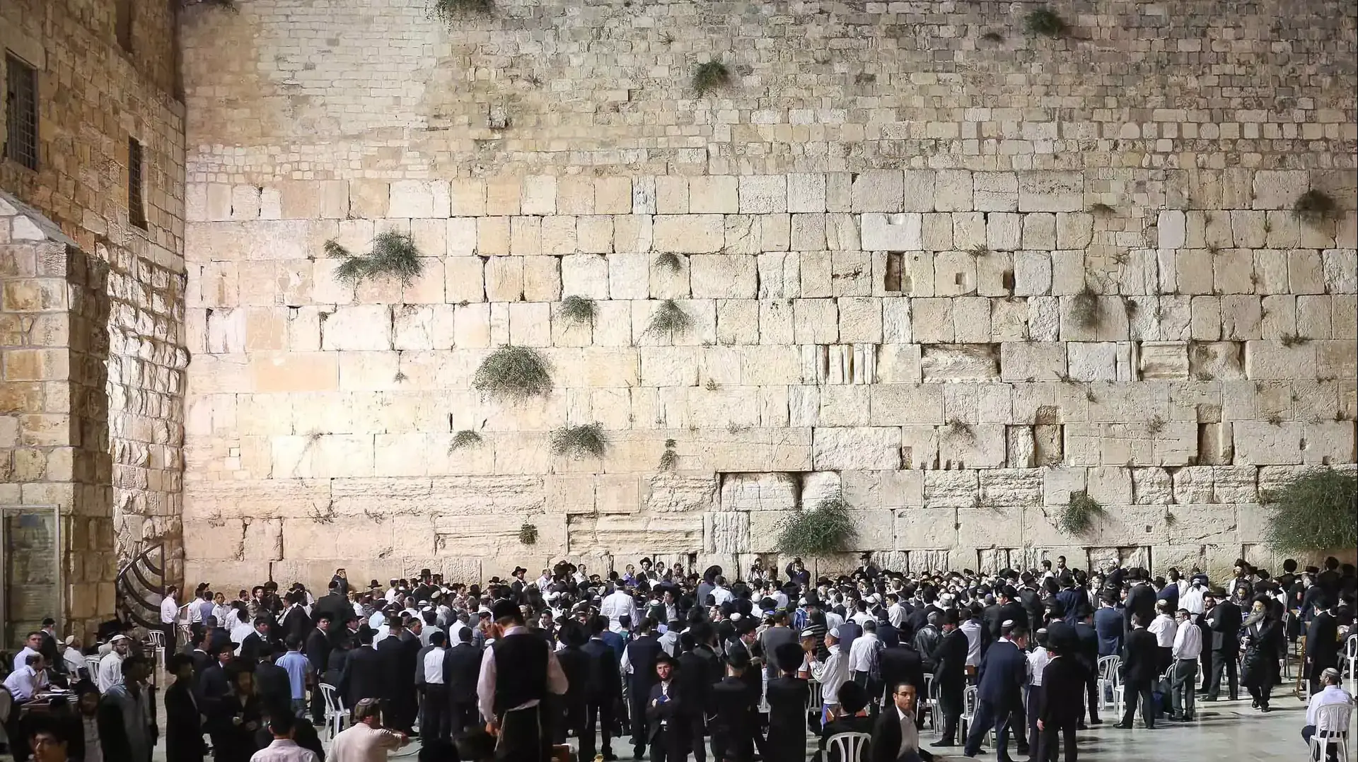 תפילה בכותל לשלום החיילים בצוק איתן תפילה בכותל לשלום החיילים בצוק איתן