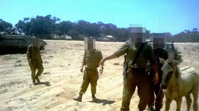 קצין בצה"ל מציל סייחה, יולי 2014 קצין בצה"ל מציל סייחה, יולי 2014