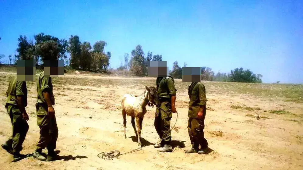 קצין בצה"ל מציל סייחה, יולי 2014 קצין בצה"ל מציל סייחה, יולי 2014