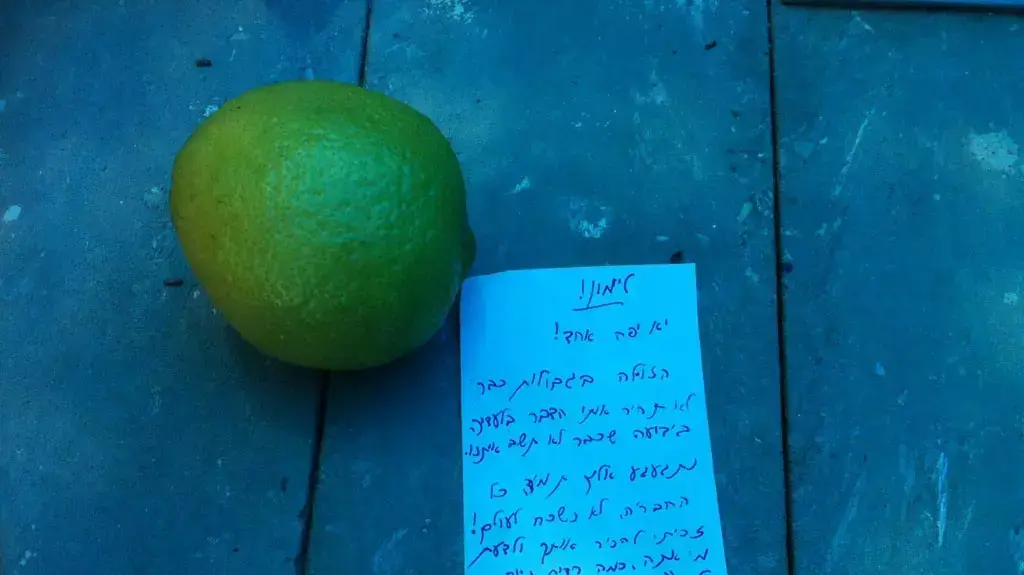 רס"ן ליעד לביא ז"ל רס"ן ליעד לביא ז"ל