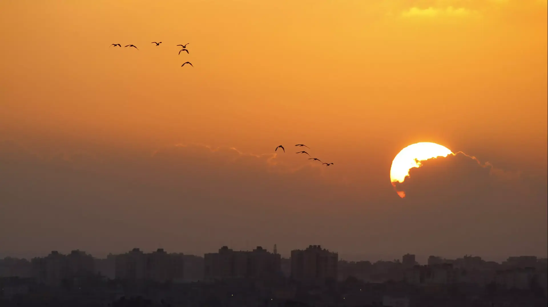 שקיעה בצפון רצועת עזה. 2 באוגוסט 2014 שקיעה בצפון רצועת עזה. 2 באוגוסט 2014