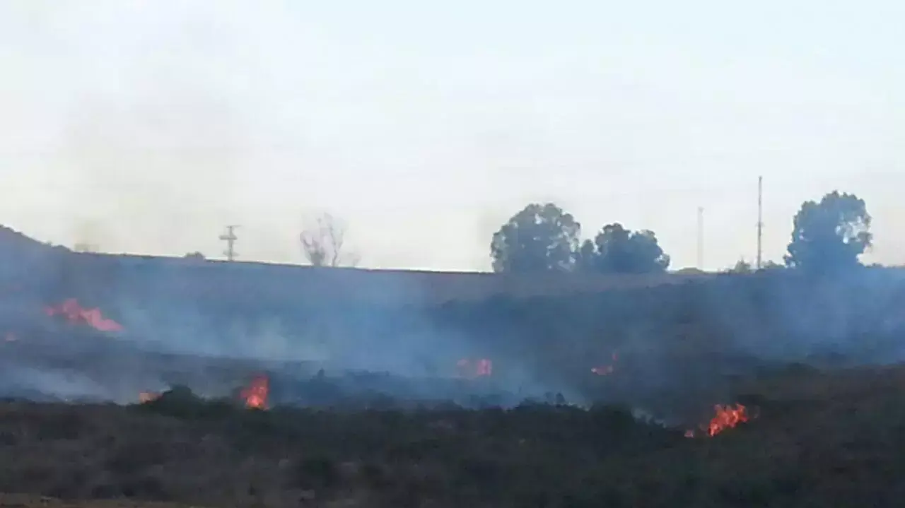 שריפה בשער הנגב עקב נפילת רקטה, אוגוסט 2014 שריפה בשער הנגב עקב נפילת רקטה, אוגוסט 2014