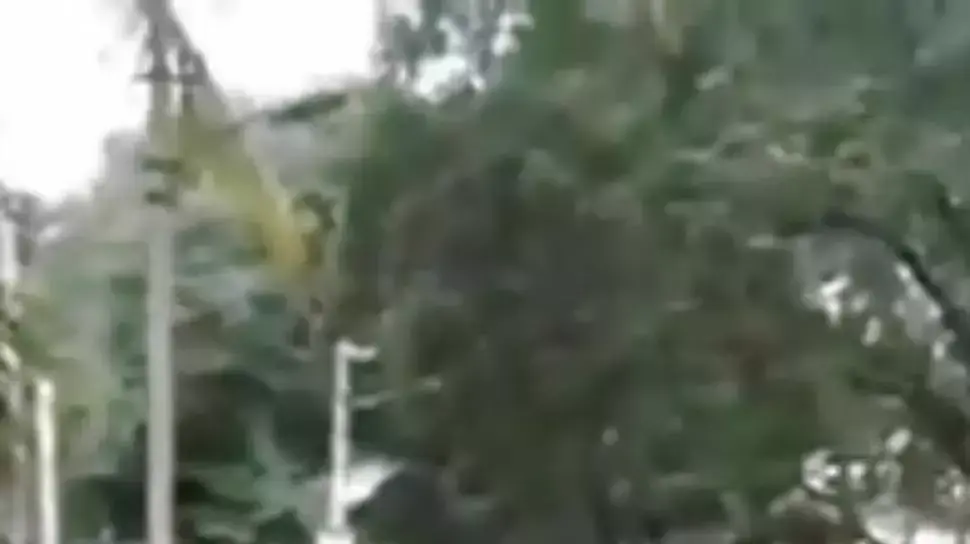 אישה בהודו רדפה אחרי גבר שהטריד אותה מינית והיכתה אותו אישה בהודו רדפה אחרי גבר שהטריד אותה מינית והיכתה אותו