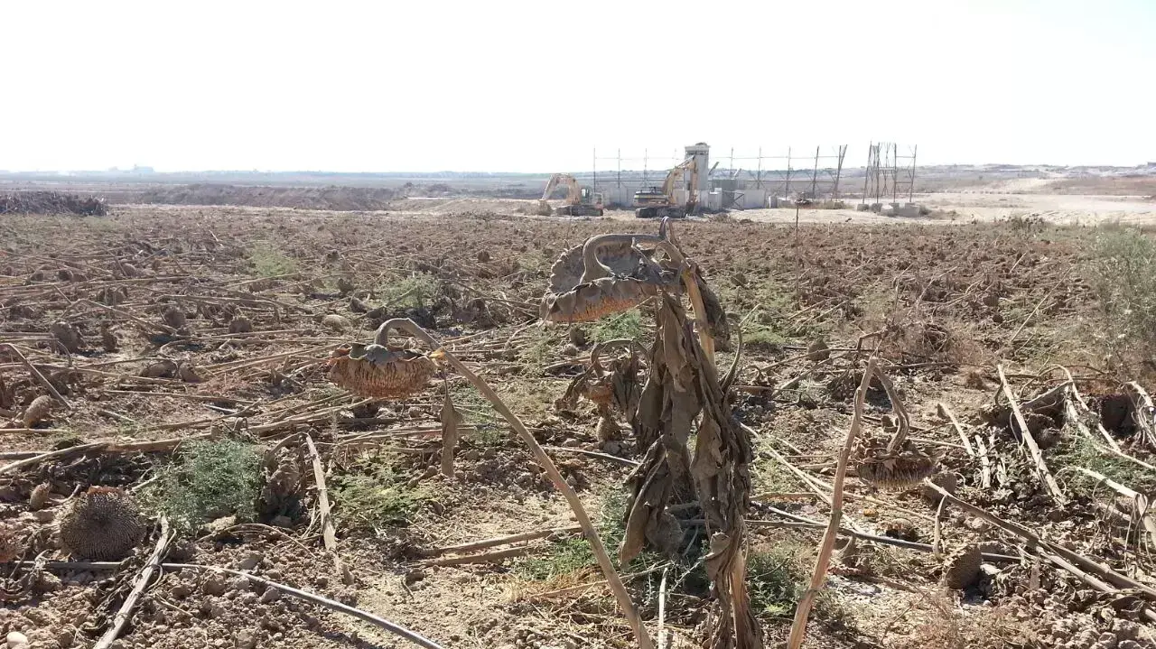 שדה חמניות בקיבוץ נחל עוז וברקע הפילבוקס בו התרחש הפיגוע שדה חמניות בקיבוץ נחל עוז וברקע הפילבוקס בו התרחש הפיגוע