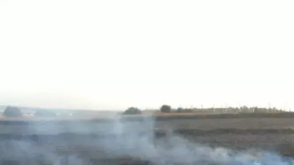 שריפת קוצים במועצה אזורית חוף אשקלון בעקבות נפילת רקטה, אוגוסט 2014 שריפת קוצים במועצה אזורית חוף אשקלון בעקבות נפילת רקטה, אוגוסט 2014