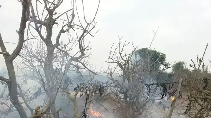 נפילה במועצה אזורית אשכול. אוגוסט 2014 נפילה במועצה אזורית אשכול. אוגוסט 2014