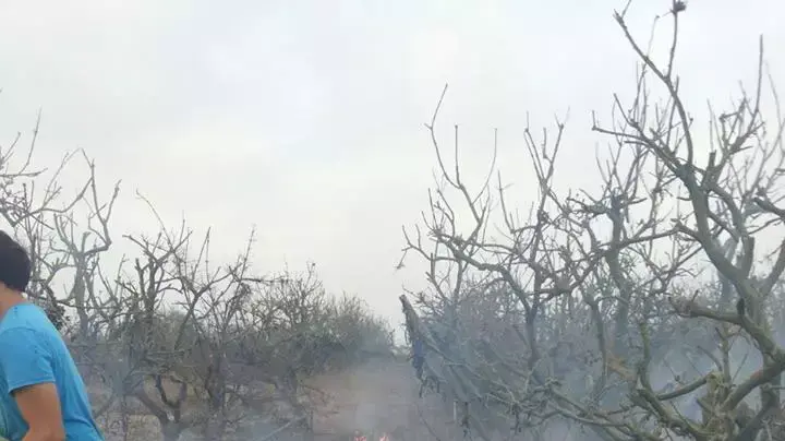 נפילה במועצה אזורית אשכול. אוגוסט 2014 נפילה במועצה אזורית אשכול. אוגוסט 2014