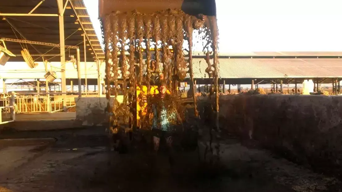 אתגר הזבל בעוטף עזה. אוגוסט 2014 אתגר הזבל בעוטף עזה. אוגוסט 2014