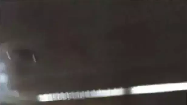 שוטרים מתיזים ספריי פלפל על שודד במהלך שוד בסניף בנק הדואר בתל אביב, אוגוסט 2014 שוטרים מתיזים ספריי פלפל על שודד במהלך שוד בסניף בנק הדואר בתל אביב, אוגוסט 2014