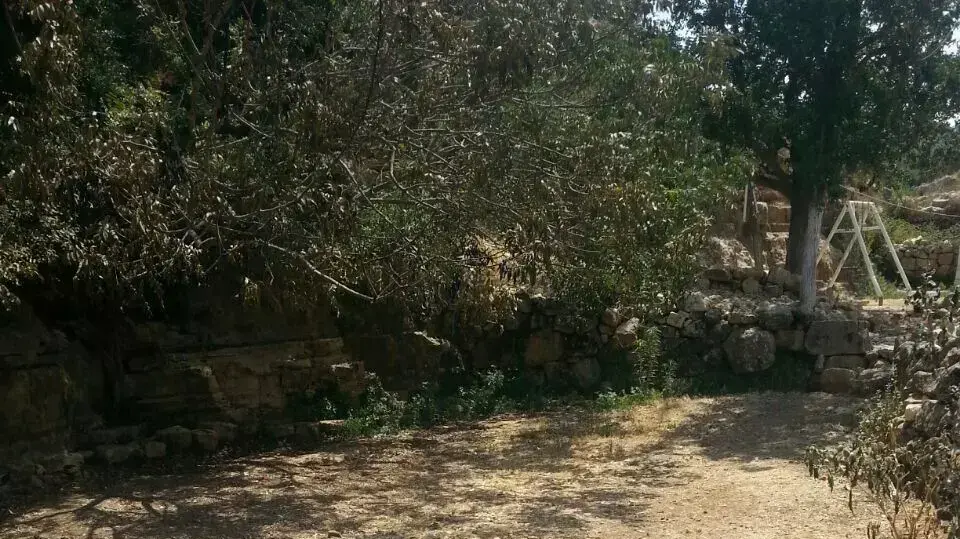 ארבעה נערים נאשמים בהצתה ובהשחתה בדורא אל קרע. אוגוסט 2014 ארבעה נערים נאשמים בהצתה ובהשחתה בדורא אל קרע. אוגוסט 2014