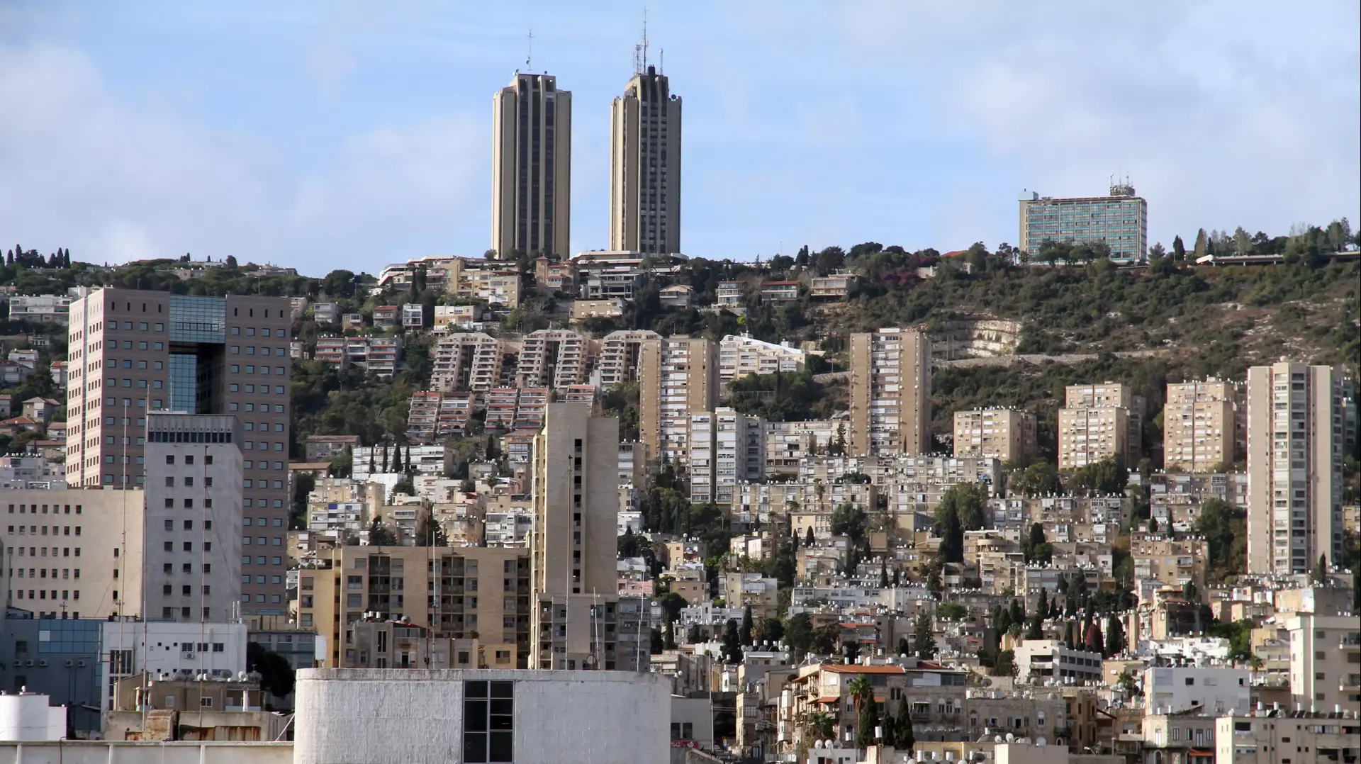 העיר חיפה העיר חיפה