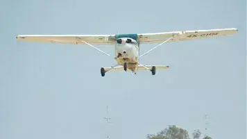 אודליה יקיר אודליה יקיר