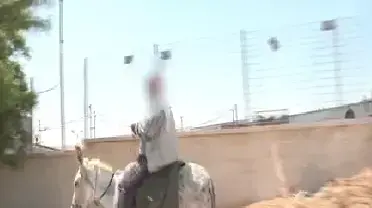 כנופיות בדואיות גובות פרוטקשן מעסקים במישור אדומים כנופיות בדואיות גובות פרוטקשן מעסקים במישור אדומים