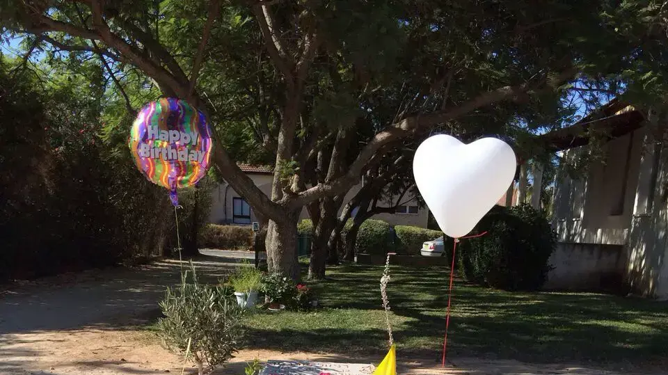 חבריו של סמל-ראשון דניאל פומרנץ שנהג בעזה חגגו לו יום הולדת סביב קברו חבריו של סמל-ראשון דניאל פומרנץ שנהג בעזה חגגו לו יום הולדת סביב קברו