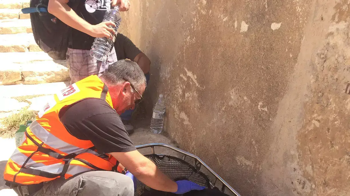 במבצע מסובך הצילו מתנדבי "איחוד הצלה" ואנשי יחידת החילוץ "הר הנגב" כלב שנפל לתהום של 30 מטרים במצפה רמון, ספטמבר 2014 במבצע מסובך הצילו מתנדבי "איחוד הצלה" ואנשי יחידת החילוץ "הר הנגב" כלב שנפל לתהום של 30 מטרים במצפה רמון, ספטמבר 2014
