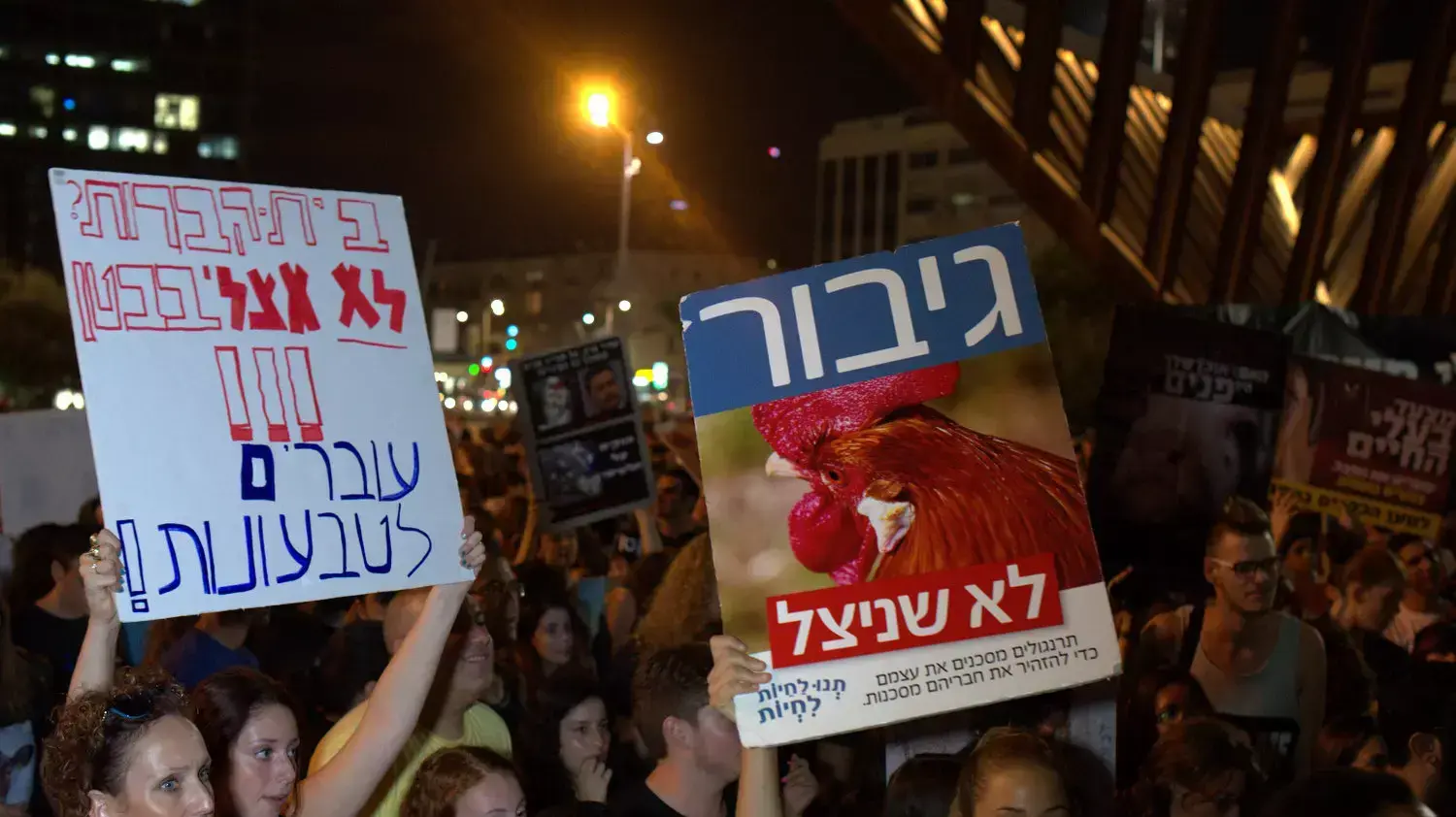 אלפים הפגינו בתל אביב בעד זכויות בעלי חיים, ספטמבר 2014 אלפים הפגינו בתל אביב בעד זכויות בעלי חיים, ספטמבר 2014