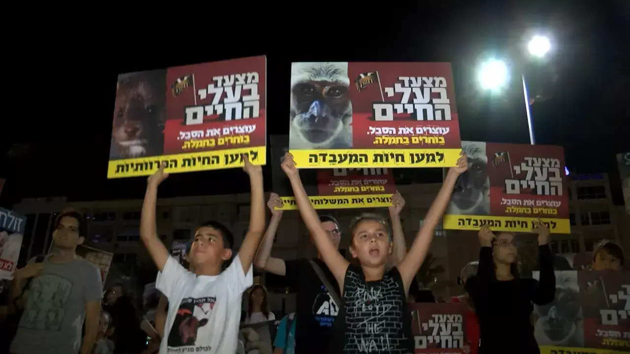 אלפים צעדו למען זכויות בעלי חיים