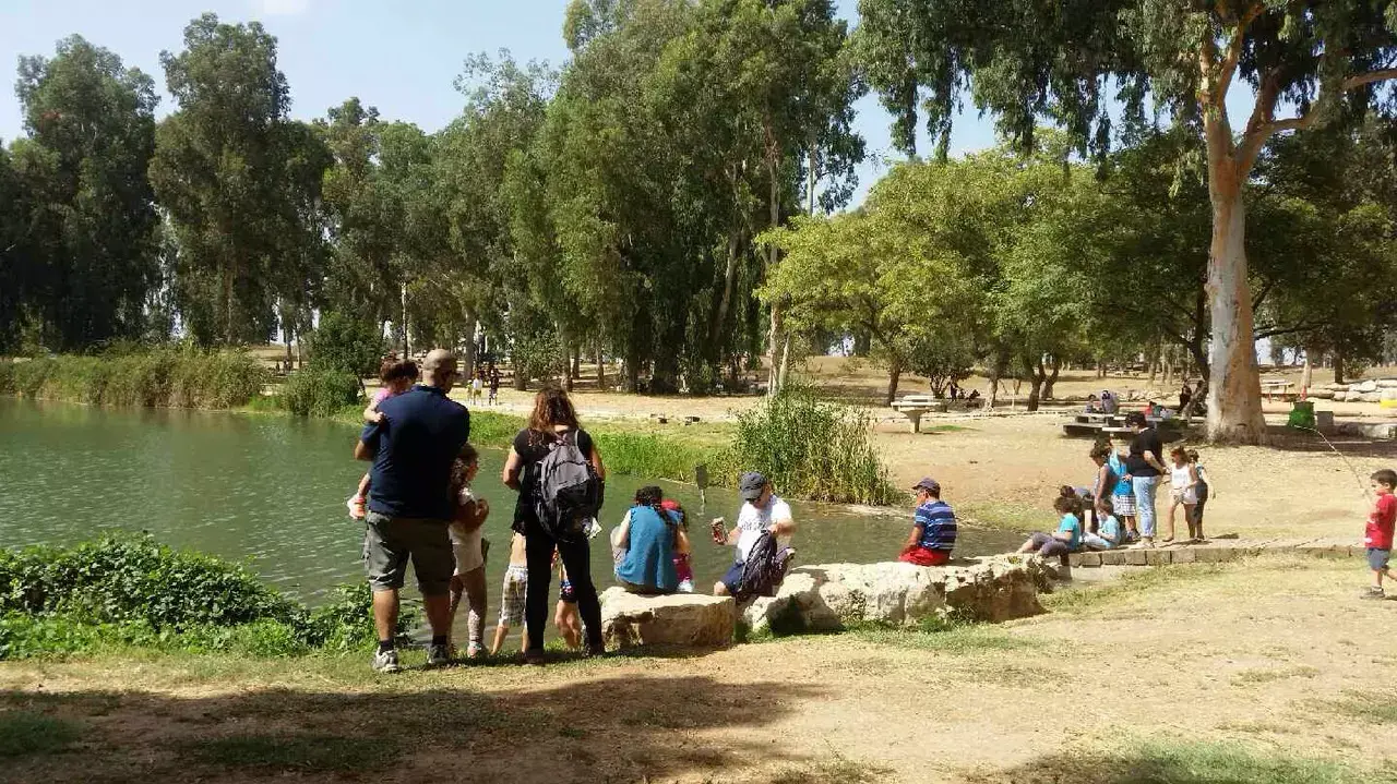 עשרות אלפי מטיילים פוקדים את שמורות הטבע והגנים עשרות אלפי מטיילים פוקדים את שמורות הטבע והגנים