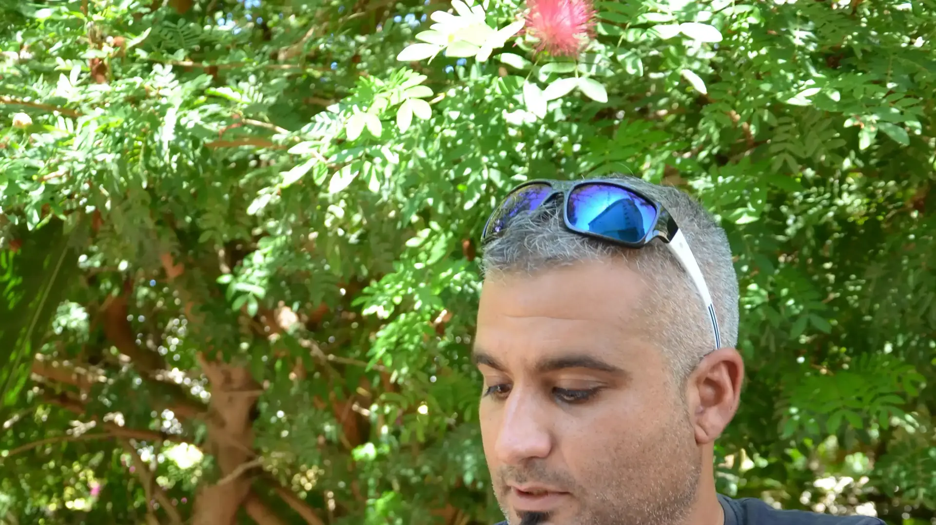 חילוץ העיט ע"י מפקח בעלי החיים תומר יעקובי.