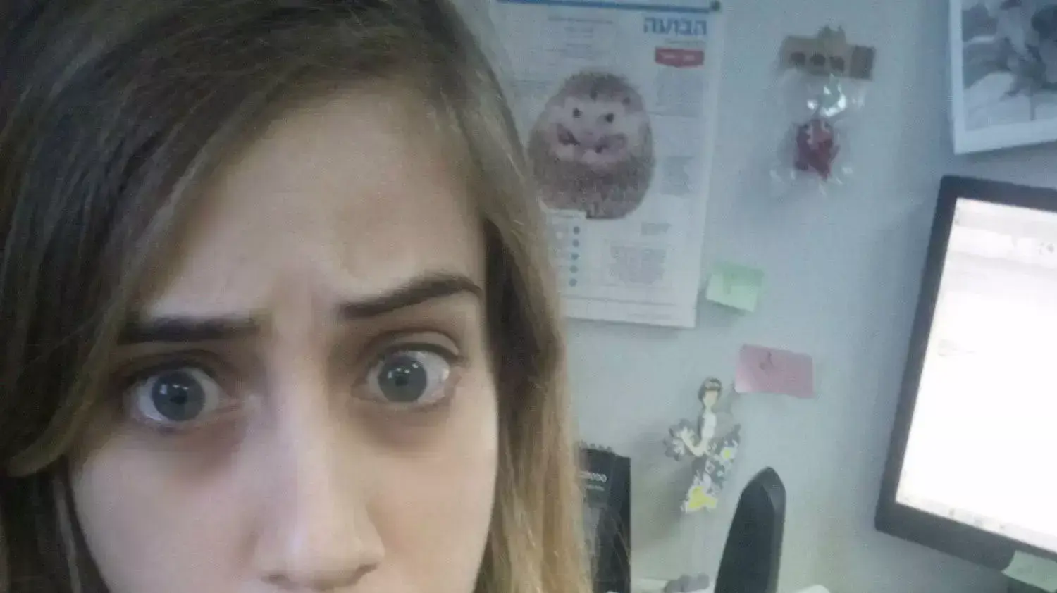דיאטת מיצים, אביעד קדרון, שי סגל דיאטת מיצים, אביעד קדרון, שי סגל
