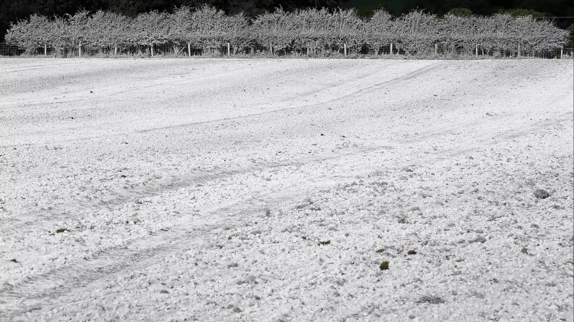 שדה שכוסה בחצץ מיוחד כדי לאזן את רמת החומציות של האדמה. קלוכמילס, צפון אירלנד שדה שכוסה בחצץ מיוחד כדי לאזן את רמת החומציות של האדמה. קלוכמילס, צפון אירלנד