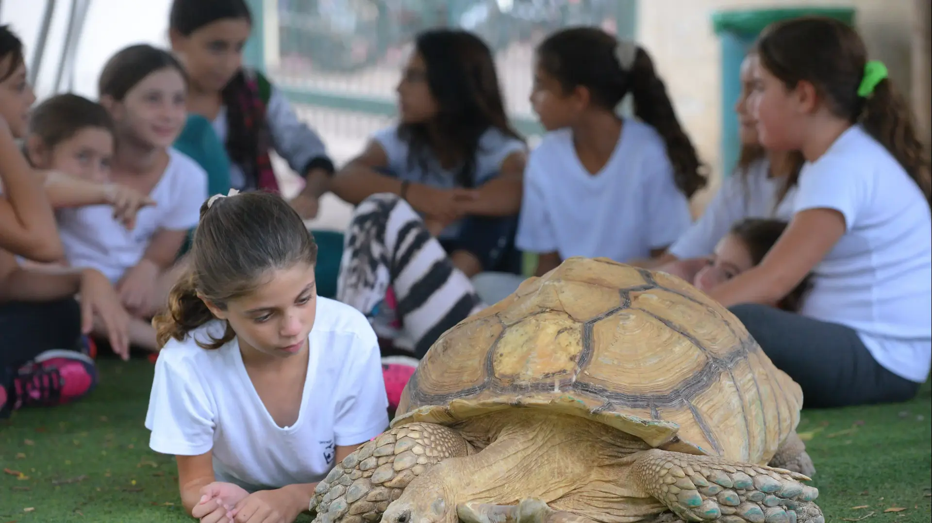 בית הספר יאנוש קורצ'אק ברמת גן, אוקטובר 2014 בית הספר יאנוש קורצ'אק ברמת גן, אוקטובר 2014