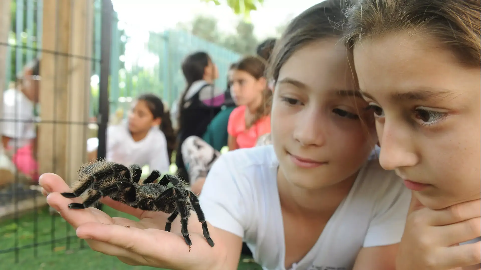בית הספר יאנוש קורצ'אק ברמת גן, אוקטובר 2014 בית הספר יאנוש קורצ'אק ברמת גן, אוקטובר 2014