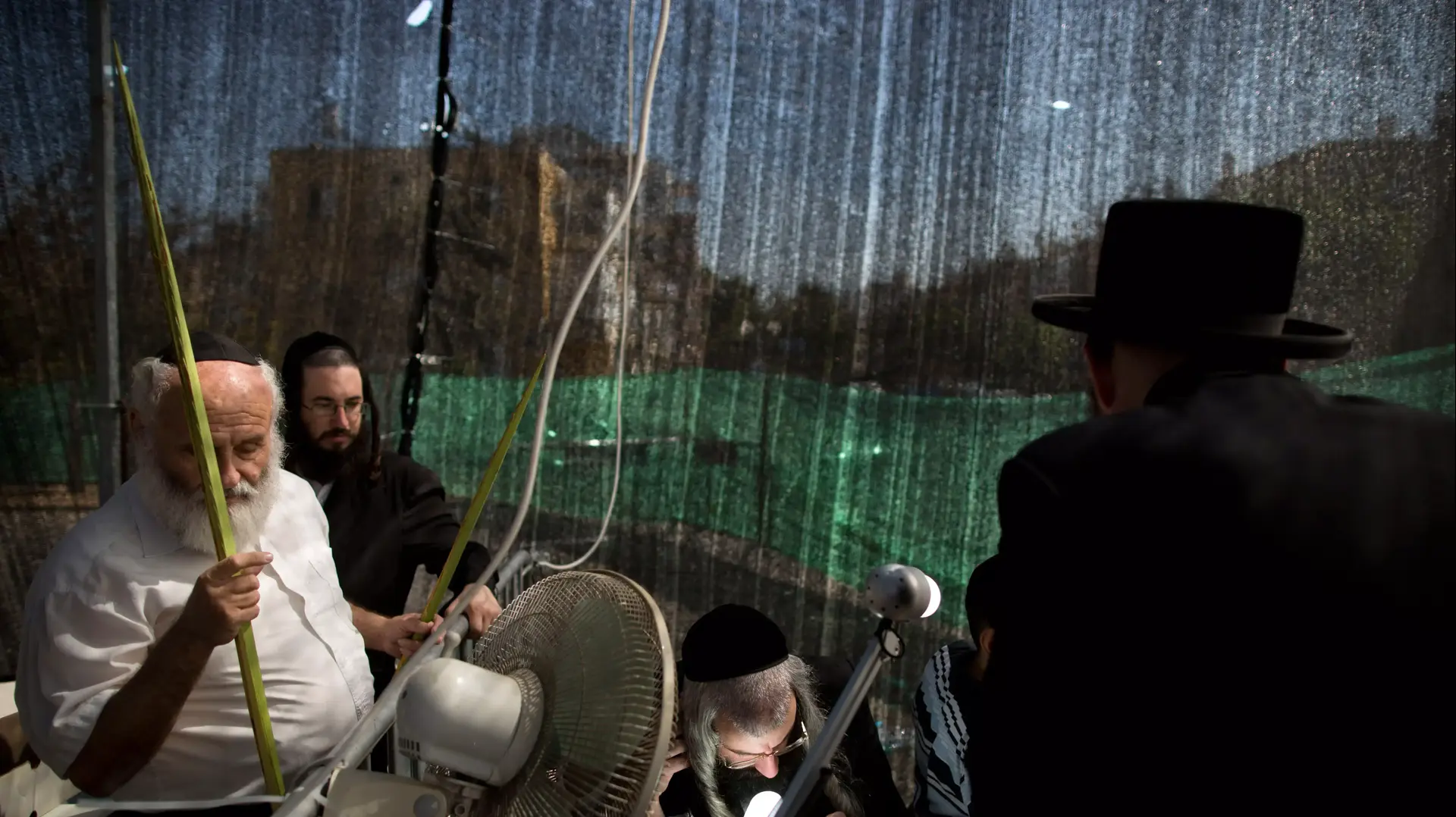 בדיקה מדוקדקת של שלמות האתרוג לפני מכירתו. נתניה