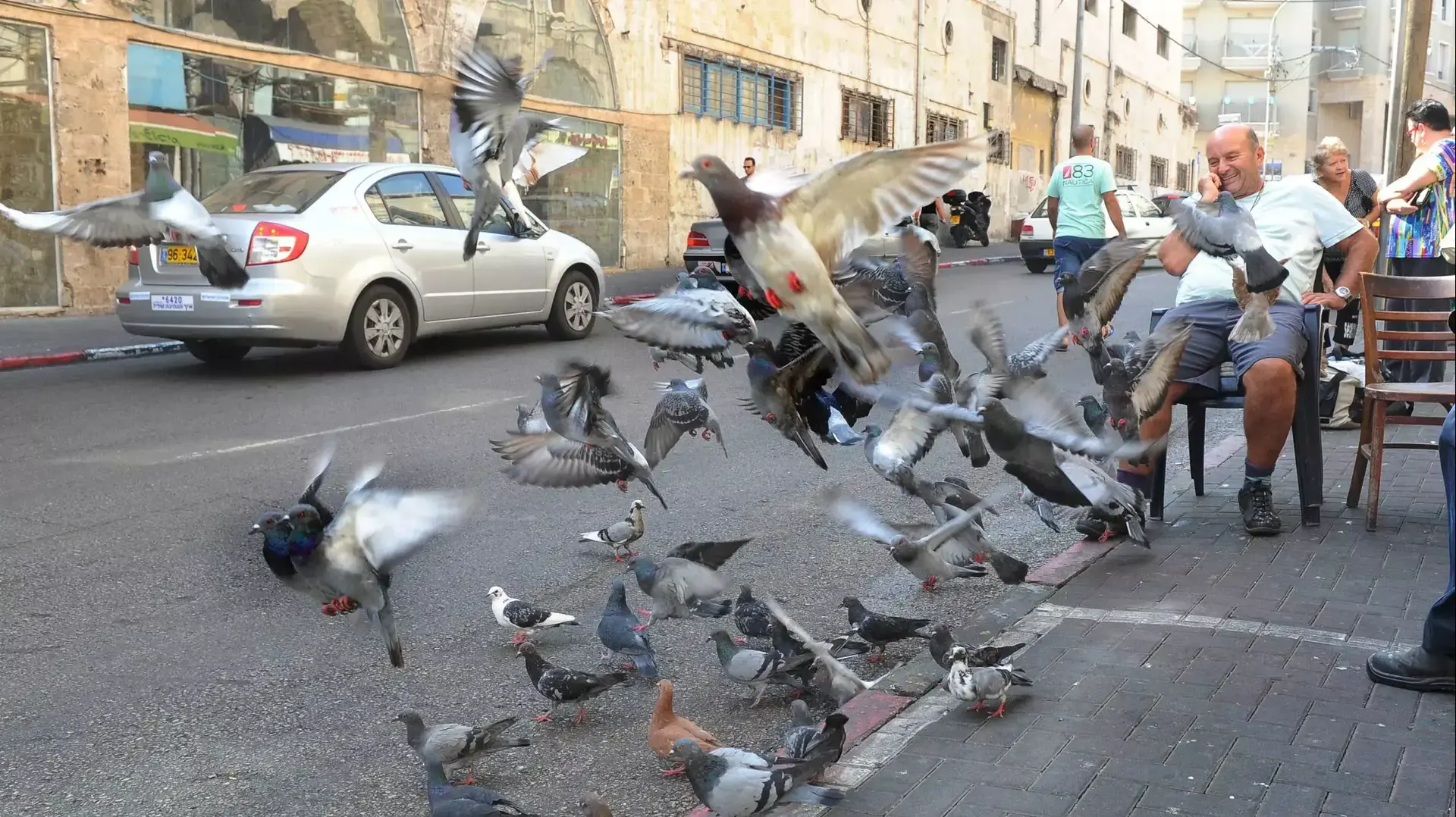 יונים ברחוב יפת ביפו, 10 באוקטובר 2014 יונים ברחוב יפת ביפו, 10 באוקטובר 2014