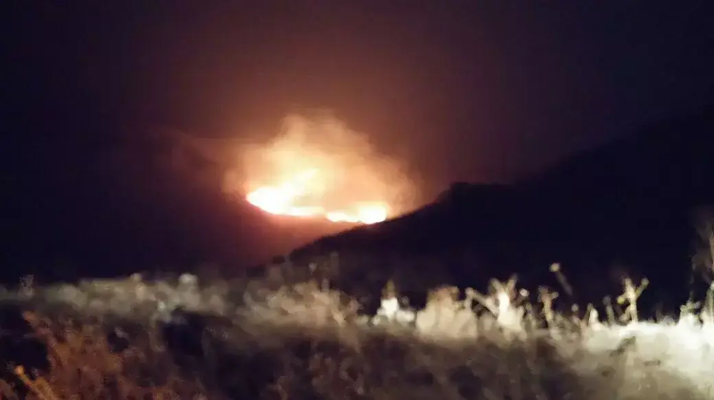 שריפה בשמורת גמלא ברמת הגולן שריפה בשמורת גמלא ברמת הגולן