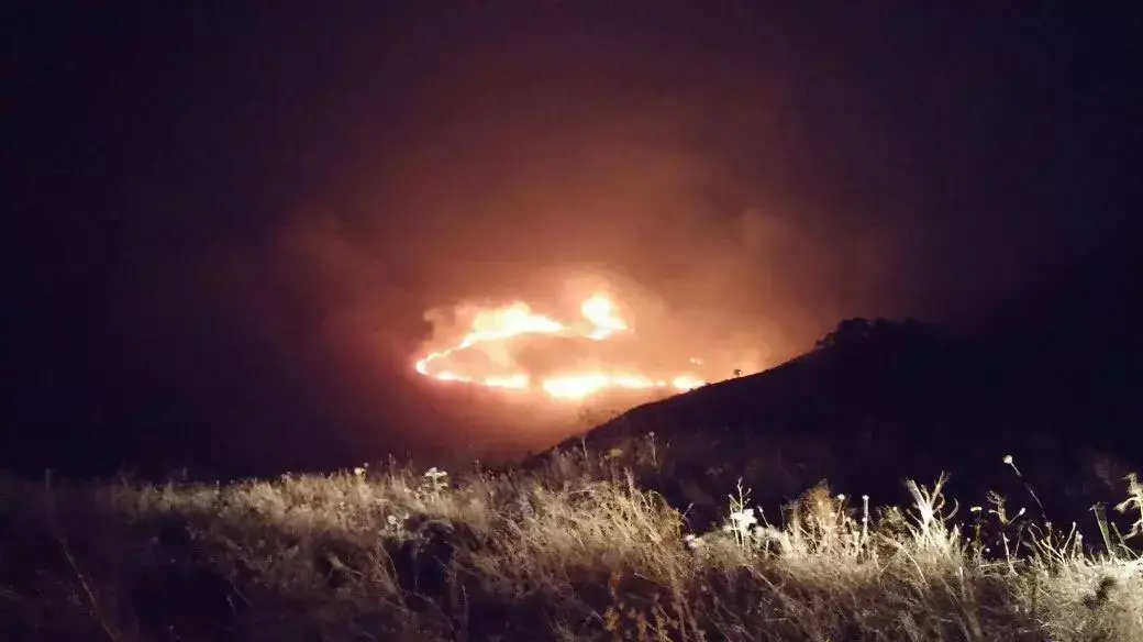 שריפה בשמורת גמלא ברמת הגולן שריפה בשמורת גמלא ברמת הגולן