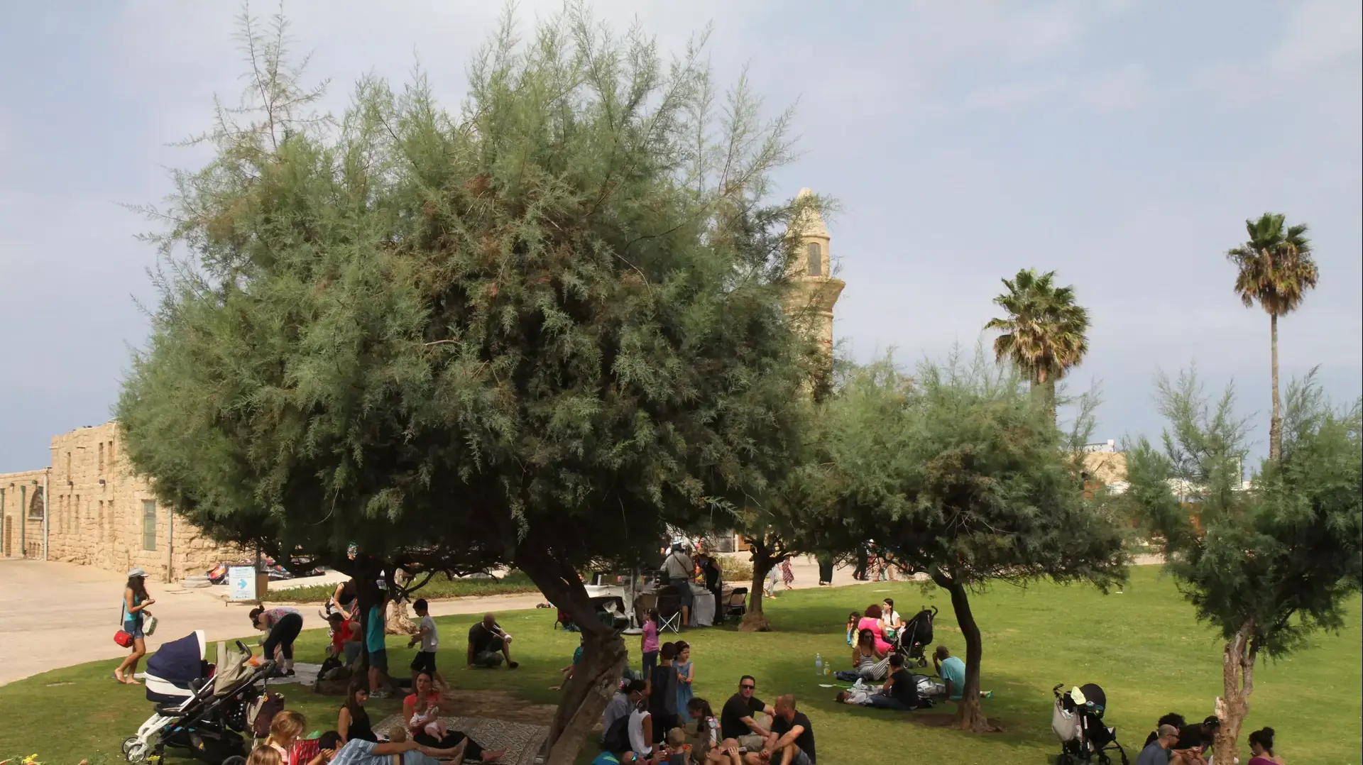 מטיילים בגן הלאומי קיסרה, 11 באוקטובר 2014 מטיילים בגן הלאומי קיסרה, 11 באוקטובר 2014