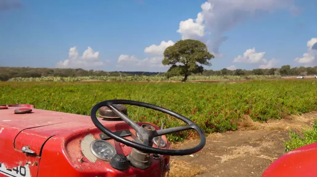 פסטיבל פפריקה בחוות התבלינים בבית לחם הגלילית פסטיבל פפריקה בחוות התבלינים בבית לחם הגלילית