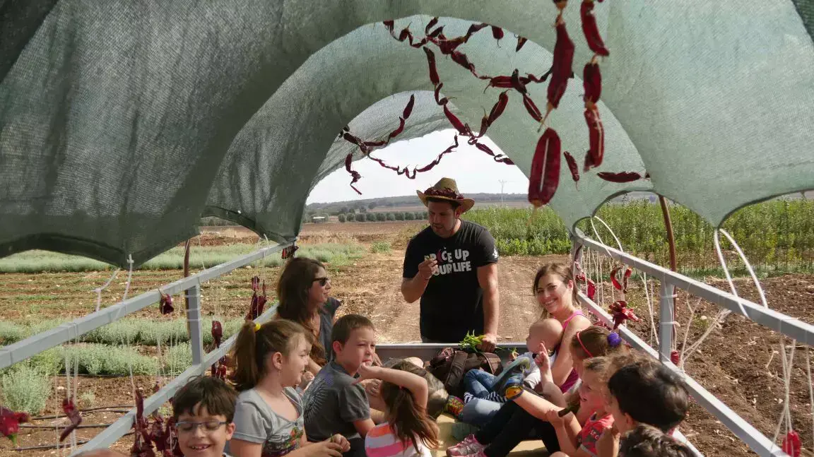 פסטיבל פפריקה בחוות התבלינים בבית לחם הגלילית פסטיבל פפריקה בחוות התבלינים בבית לחם הגלילית