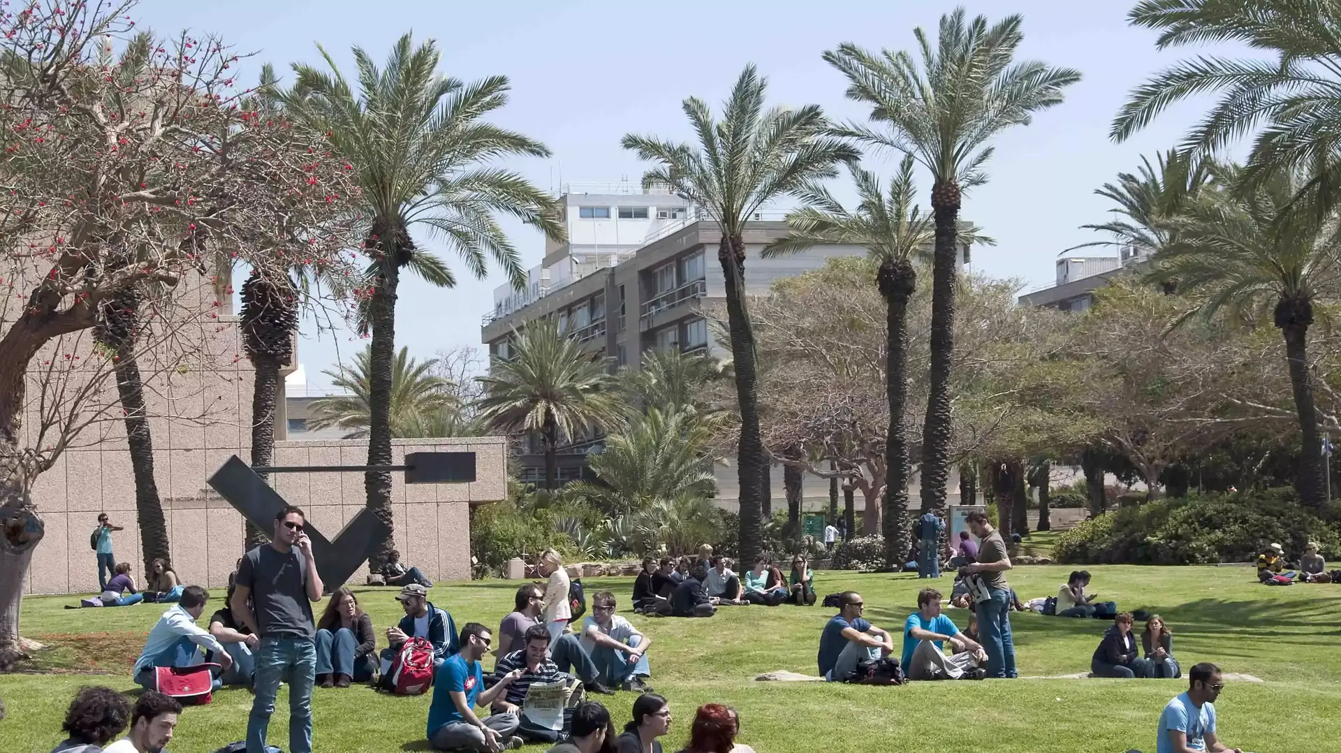 אוניברסיטת תל אביב