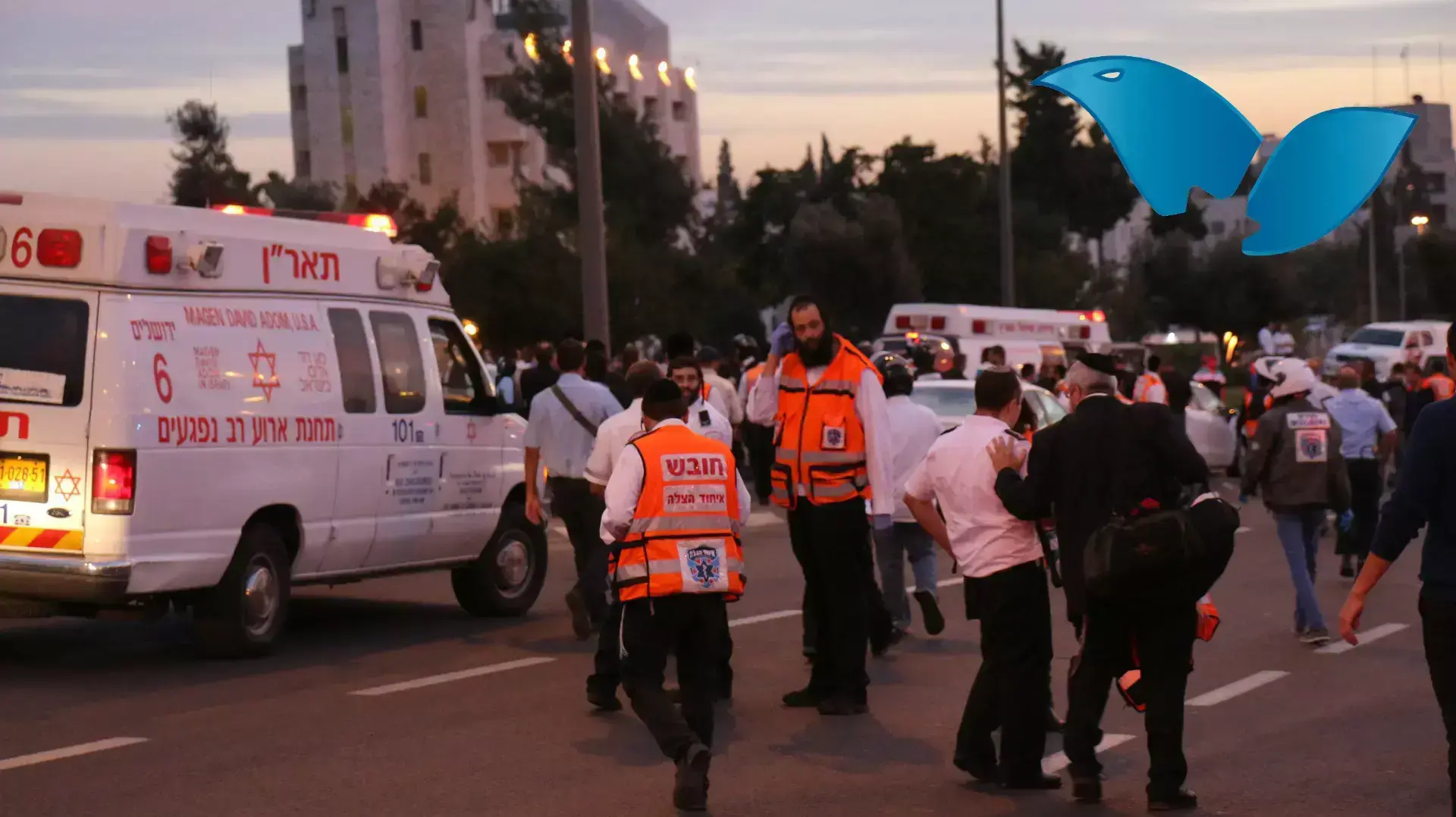 חשד לפיגוע דריסה בתחנת הרכבת הקלה בירושלים חשד לפיגוע דריסה בתחנת הרכבת הקלה בירושלים