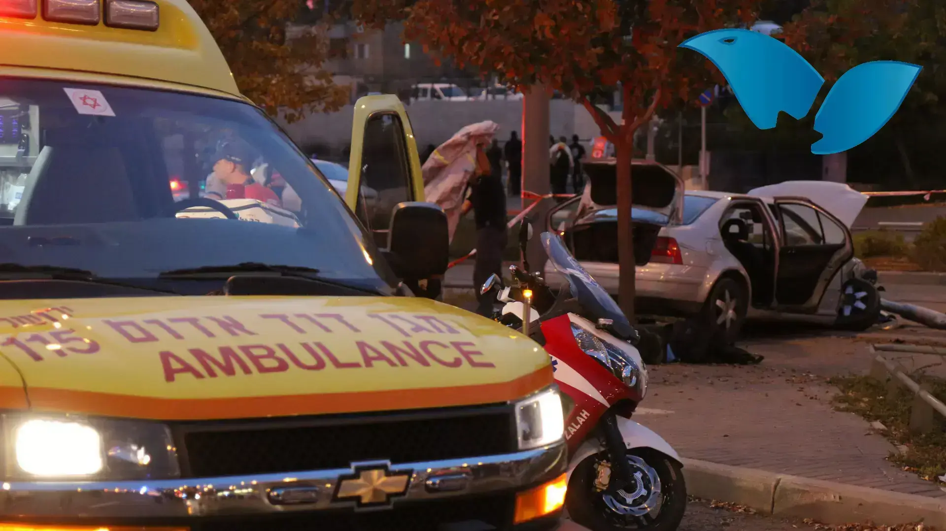 חשד לפיגוע דריסה בתחנת הרכבת הקלה בירושלים חשד לפיגוע דריסה בתחנת הרכבת הקלה בירושלים