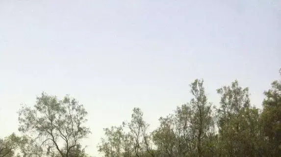 ביובית, משאית לפינוי שפכים, מפנה שפכים אסורים במקום האסור לפי החוק