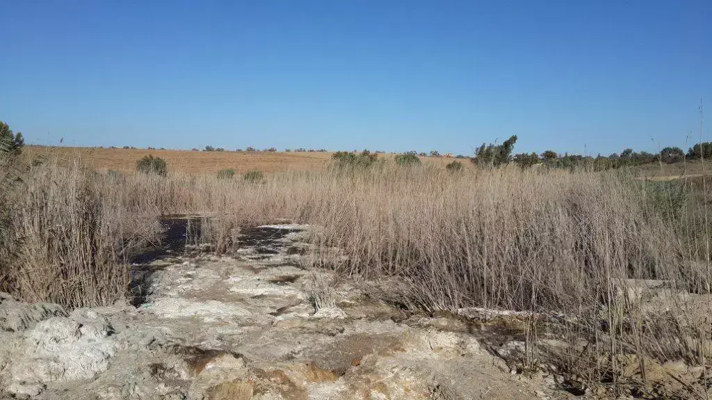 שפכים אסורים שפונו בניגוד לחוק שפכים אסורים שפונו בניגוד לחוק