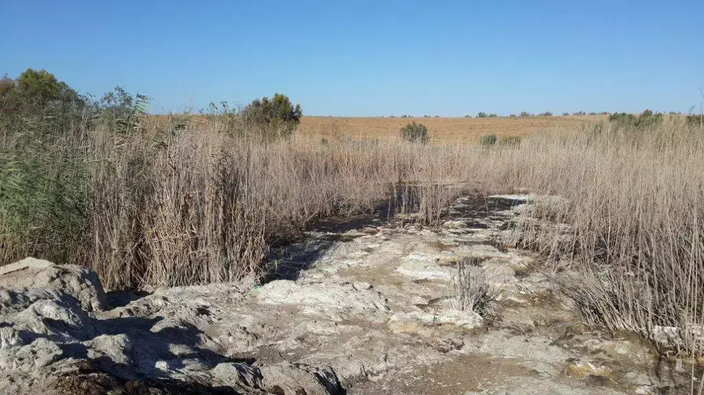 שפכים אסורים שפונו בניגוד לחוק שפכים אסורים שפונו בניגוד לחוק