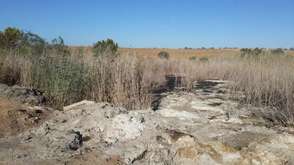 שפכים אסורים שפונו בניגוד לחוק שפכים אסורים שפונו בניגוד לחוק