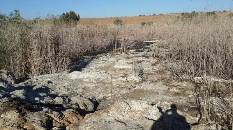 שפכים אסורים שפונו בניגוד לחוק שפכים אסורים שפונו בניגוד לחוק