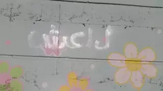 כתובות תמיכה בדאעש התגלו בדליית אל-כרמל