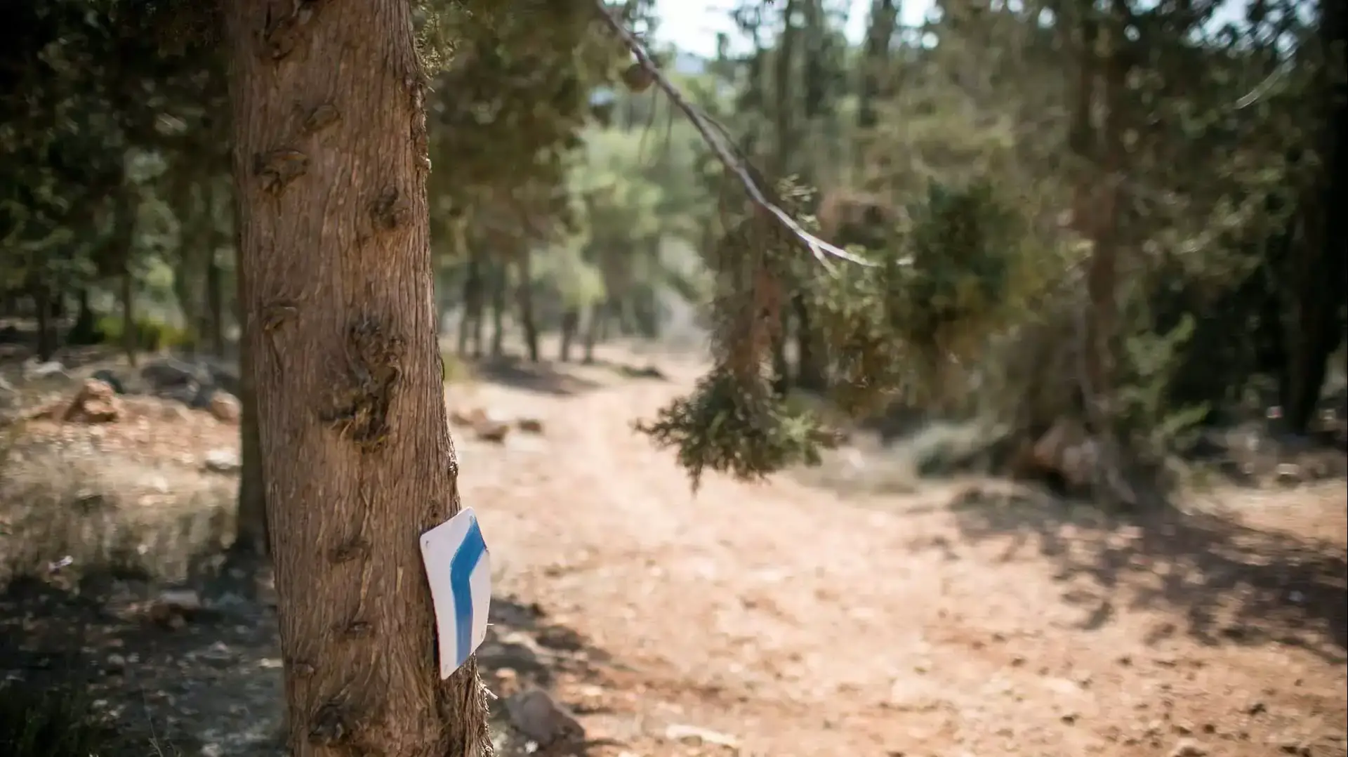 אזור יער רמות, אוקטובר 2014 אזור יער רמות, אוקטובר 2014