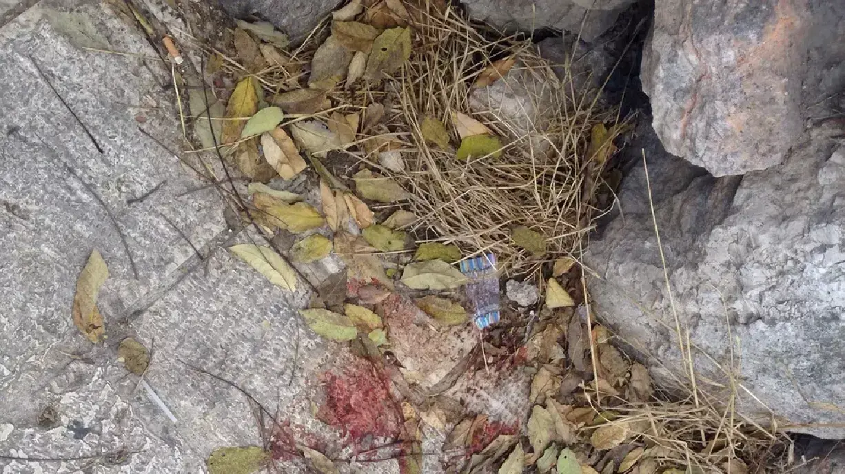 כתמי הדם בזירת ניסיון החיסול של יהודה גליק, הבוקר כתמי הדם בזירת ניסיון החיסול של יהודה גליק, הבוקר