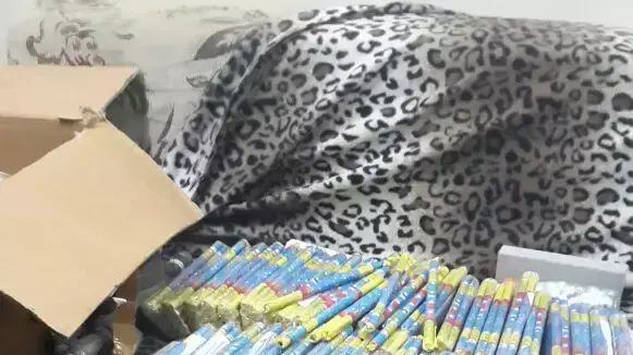 זיקוקים נמצאו בבית בסילוואן זיקוקים נמצאו בבית בסילוואן