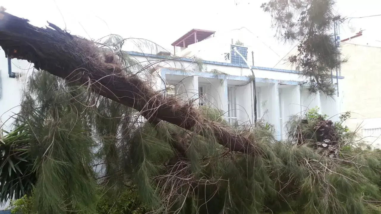 נזקי מזג האוויר בקריית חיים, נובמבר 2014 נזקי מזג האוויר בקריית חיים, נובמבר 2014