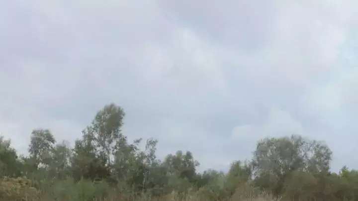 שיטפונות בגשר צאלים בנגב המערבי, נובמבר 2014 שיטפונות בגשר צאלים בנגב המערבי, נובמבר 2014